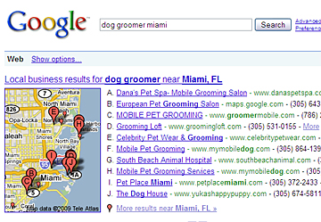 Google Local Business Listing